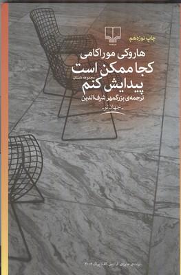کجا ممکن است پیدایش کنم
