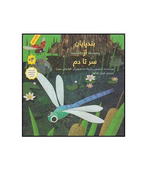 بندپایان از سر تا دم