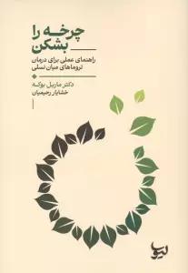 چرخه را بشکن (راهنمای عملی برای درمان تروماهای میان نسلی)
