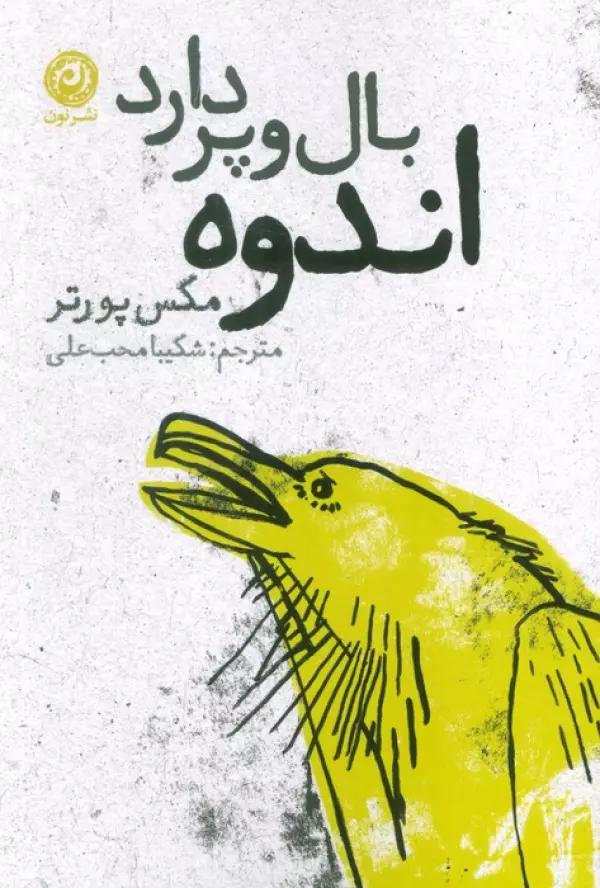 اندوه بال و پر دارد