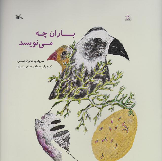 کتاب باران چه می نویسد