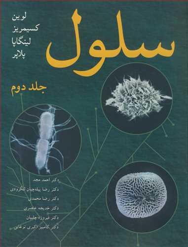 سلول جلد2