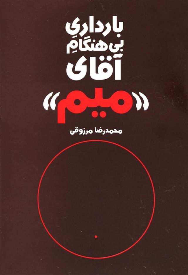 کتاب بارداری بی هنگام آقای میم