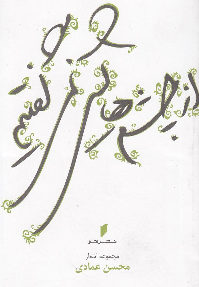 کتاب از چشمهایش نمیگفتیم