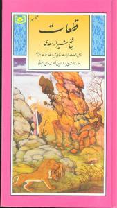 قطعات شیخ شیراز سعدی (پالتویی)