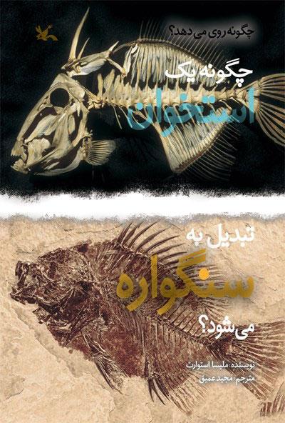 کتاب چگونه یک استخوان تبدیل به سنگواره می شود؟