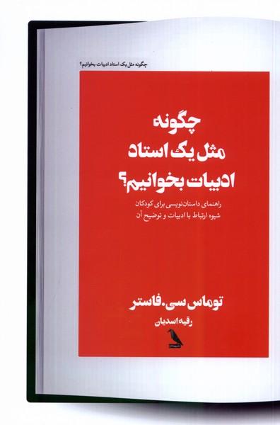 کتاب چگونه مثل یک استاد ادبیات بخوانیم؟