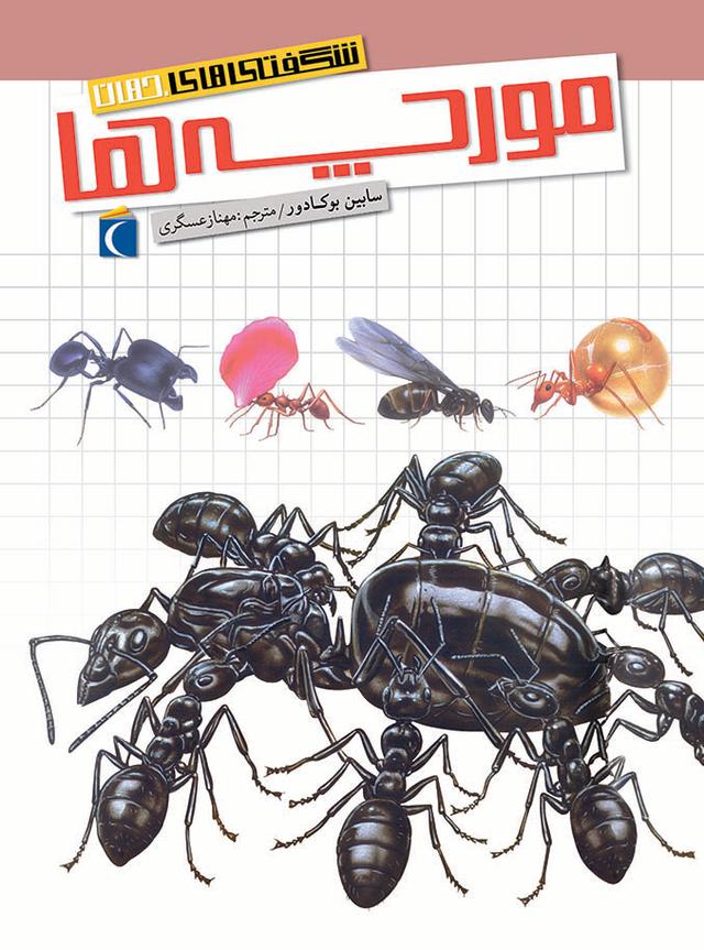 کتاب مورچه ها