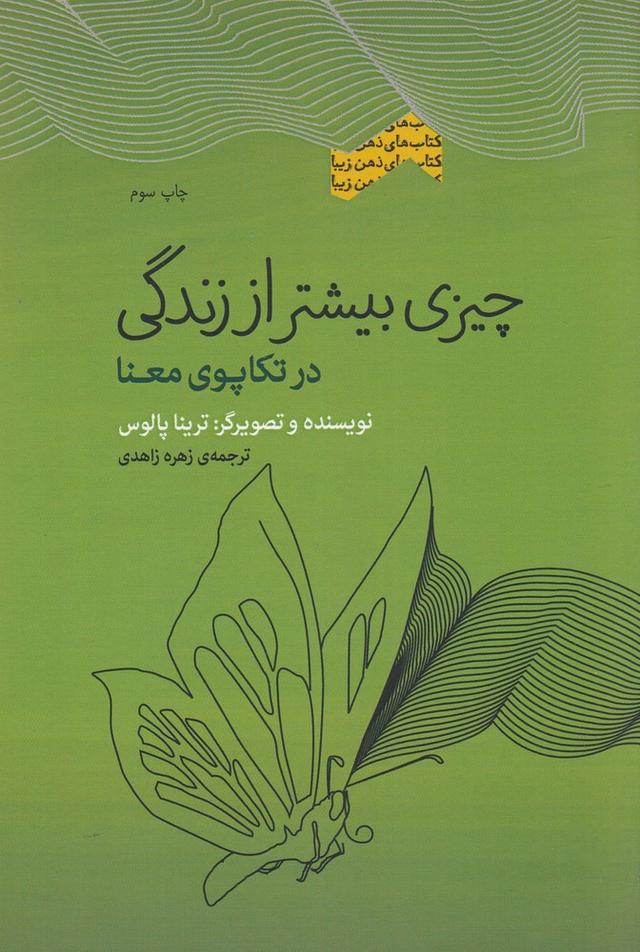 کتاب چیزی بیشتر از زندگی