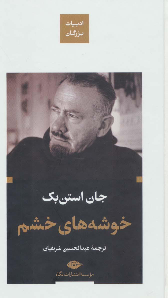 خوشه های خشم (پالتویی)