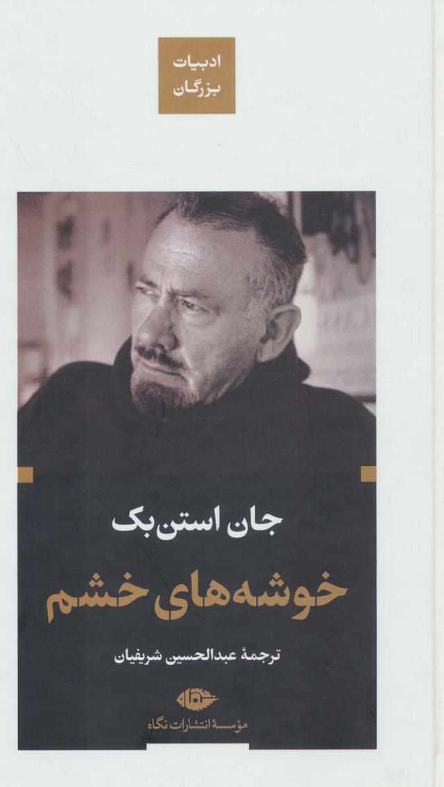 خوشه های خشم (پالتویی)