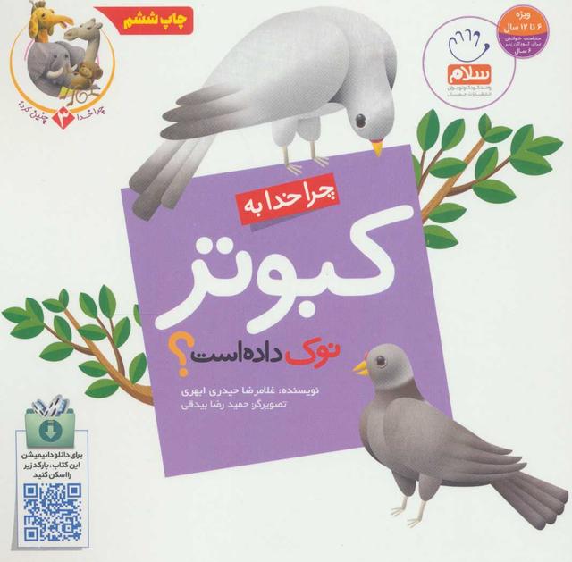 کتاب چرا خدا به کبوتر نوک داده است؟