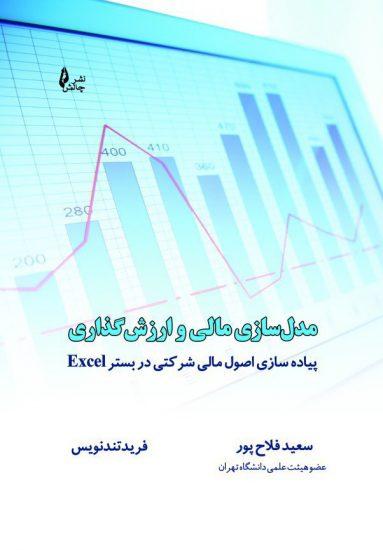 کتاب مدل سازی مالی و ارزش گذاری