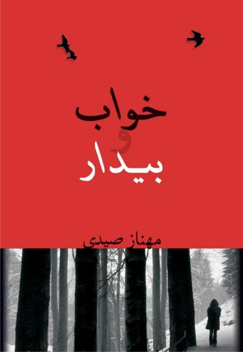 کتاب خواب و بیدار
