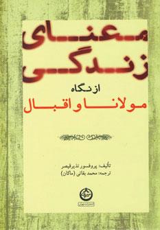 کتاب معنای زندگی از نگاه مولانا و اقبال