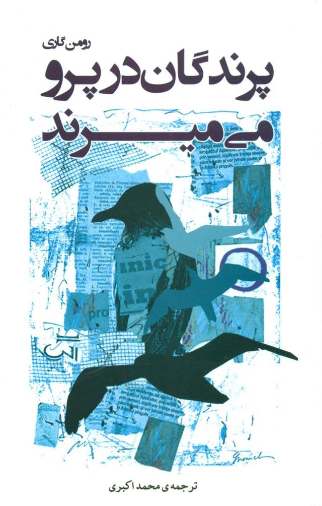 پرندگان در پرو می میرند