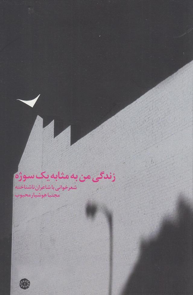 کتاب زندگی من به مثابه یک سوژه
