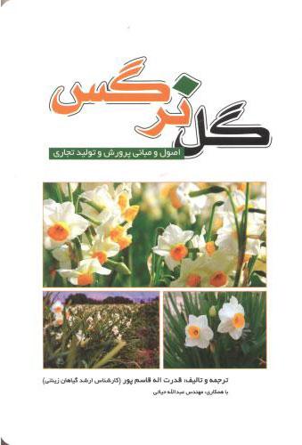 کتاب گل نرگس