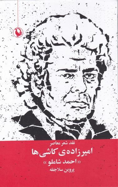 کتاب امیرزاده ی کاشی ها