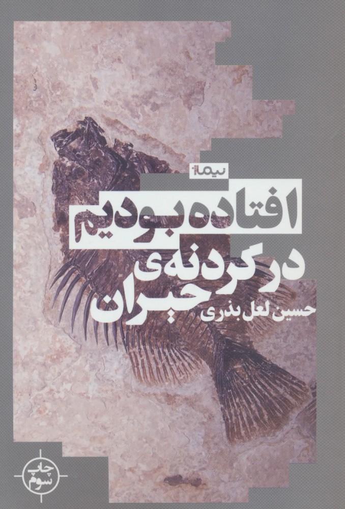 کتاب افتاده بودیم در گردنه ی حیران