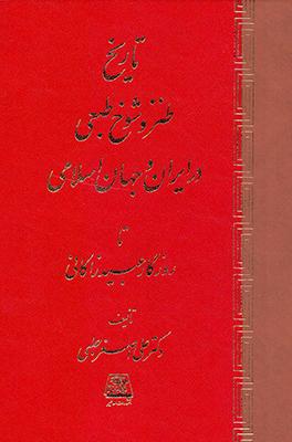 کتاب تاریخ طنز و شوخ طبعی در ایران و جهان اسلامی