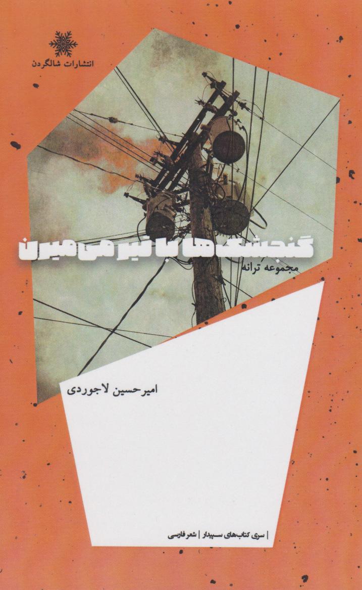 کتاب ‫گنجشک ها با تیر می میرن