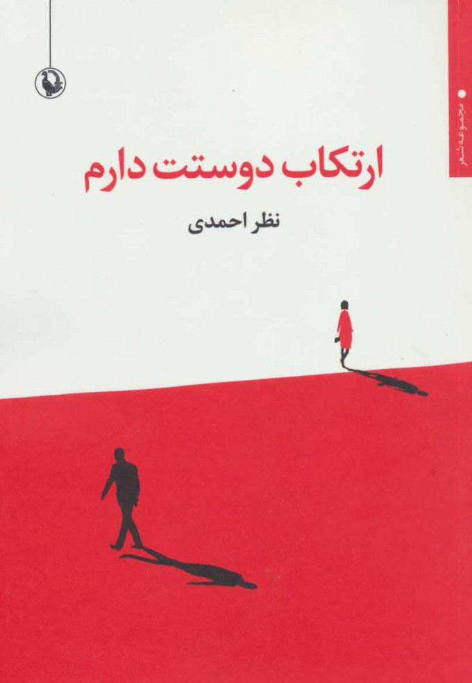 کتاب ارتکاب دوستت دارم