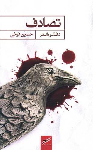 تصادف (پالتویی)