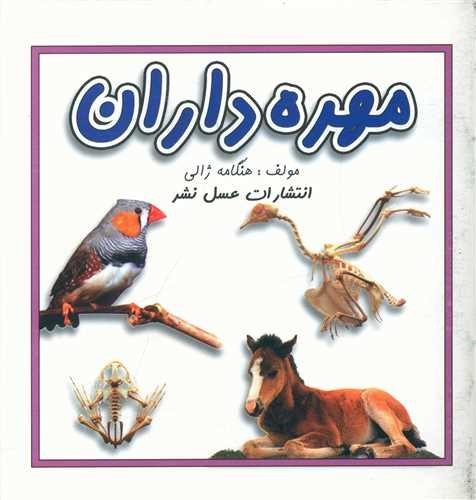 مهره داران (خشتی)