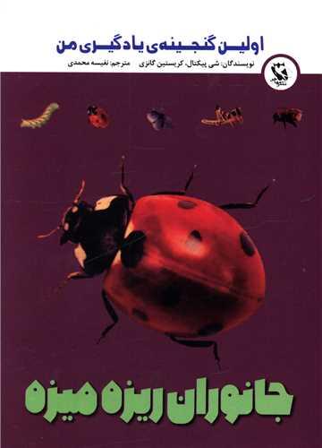 جانوران ریزه میزه (اولین گنجینه یادگیری من)(جیبی)