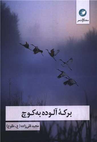 برکه آلوده به کوچ