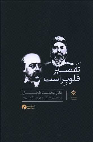 تقصیر فلوبر است