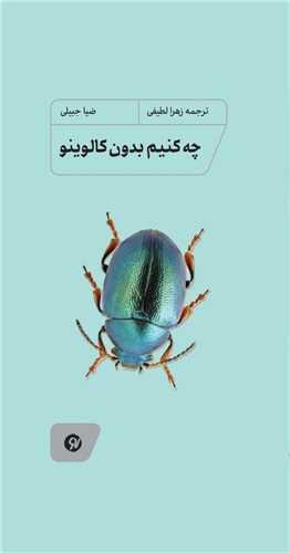 چه کنیم بدون کالوینو (پالتویی)