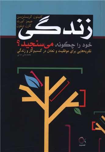 زندگی خود را چگونه می سنجید