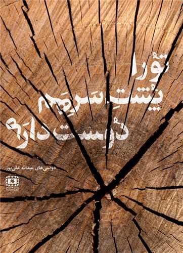 تو را پشت سر هم دوست دارم (جیبی)