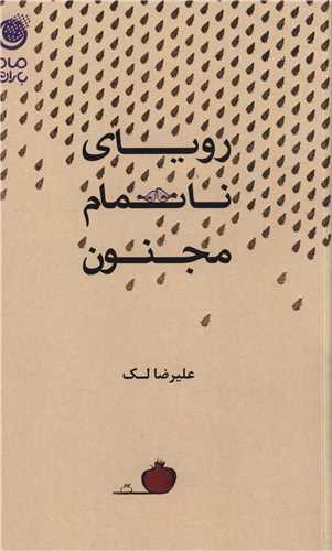 رویای ناتمام مجنون