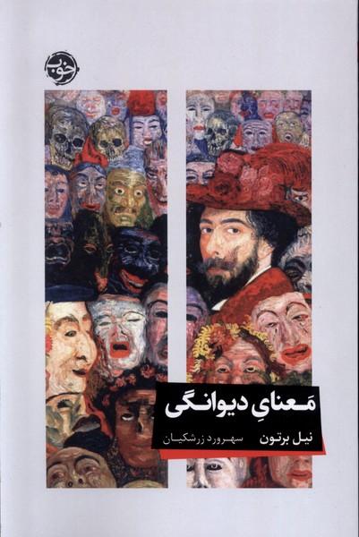 کتاب معنای دیوانگی