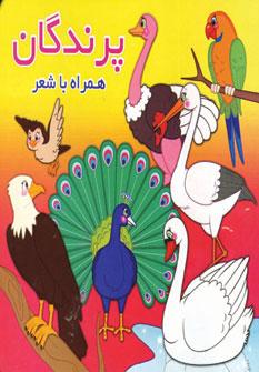 کتاب پرندگان