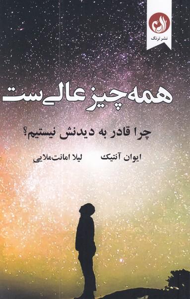 کتاب همه چیز عالی ست